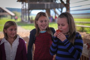 Ustvarjalnice na prostem Dezela kozolcev Sentrupert_foto Alenka Lamovsek