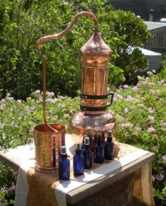 alembic .Rotating-Column