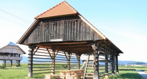 Šepec–Lash's kozolec from Dolenja Nemška vas
